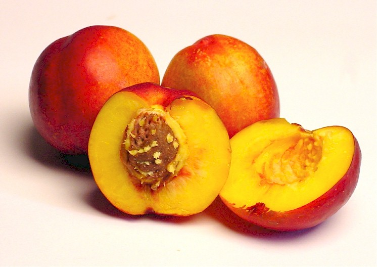 Nectarines - Nutrition, Calories, Growing Season, Health Benefits and