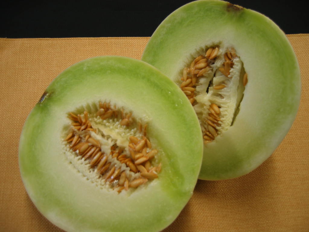 Honeydew Green Flesh, Melon Seeds