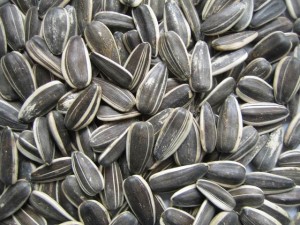 Sunflower Seed - Only Foods