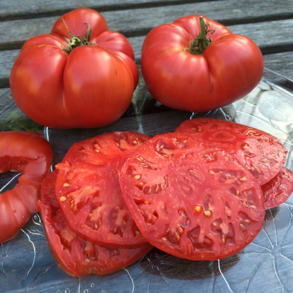 Tomato, Beefsteak Organic