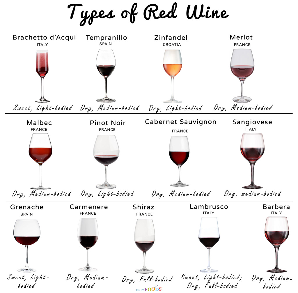 types of wine glasses and their names