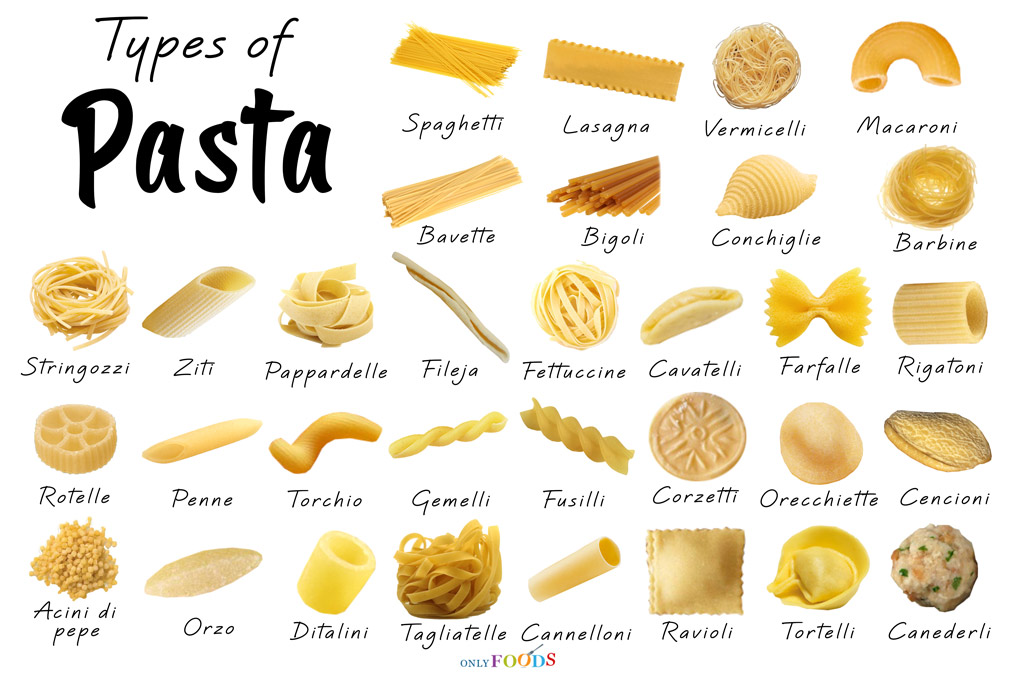 Premium Vector  Types of pasta short pasta difference illustration example  with ingredients