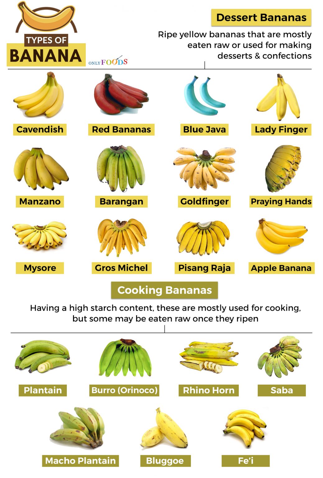 19-types-of-bananas-and-what-to-do-with-them-only-foods
