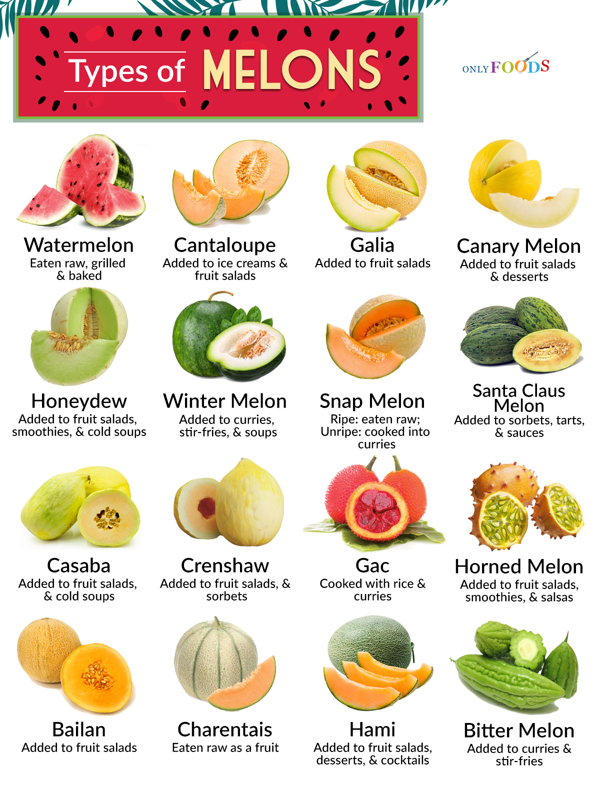 55 Different Types of Melons with Juicy Pictures • 7ESL