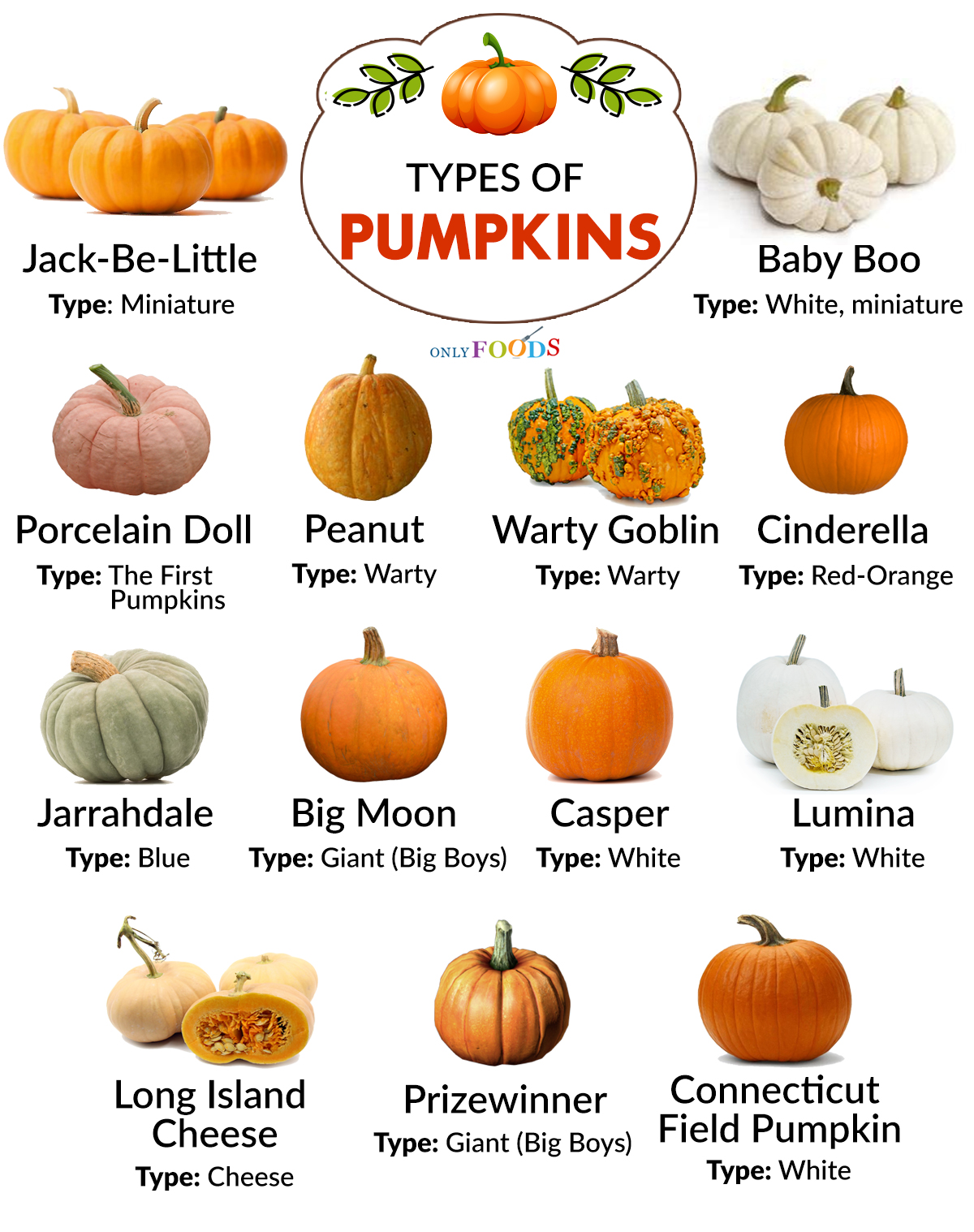 Pumpkin Size Chart